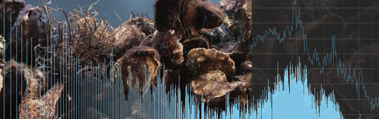 [Sept 1 -Oct 29]  Tending Ostreidae: Serenades for Settling by Stephanie Rothenberg and Suzanne Thorpe