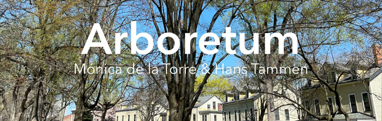 [May 17 – Aug 18] ARBORETUM by Mónica de la Torre and Hans Tammen
