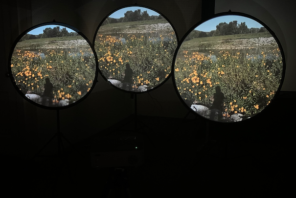 [August 23rd] LIVE PERFORMANCE – The Plane(s) by Rebekkah Palov