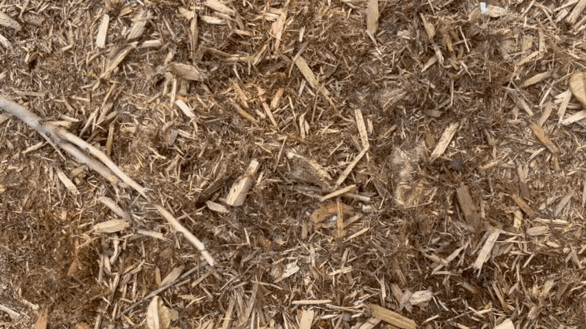An Invitation to Dig