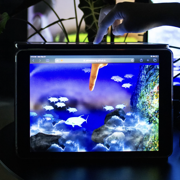 Aquarium 2