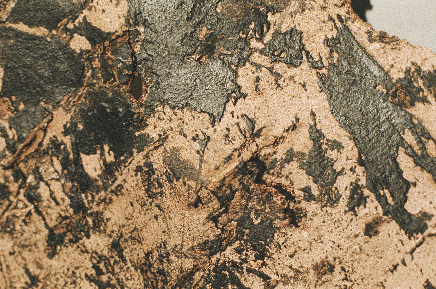 Issue #03 — Re-Natural